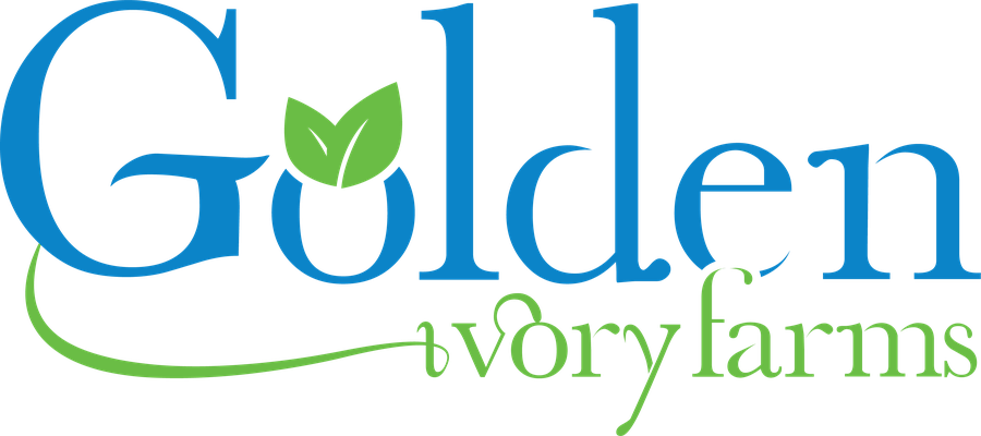 Golden Ivory Integrated Farms